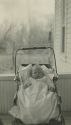1920 - M. Jean Smith - 5 weeks old 1920 - M. Jean Smith - 5 weeks old